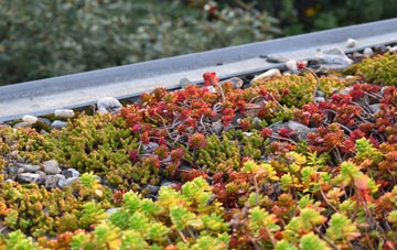 the cost of Preston Fields green roof installation