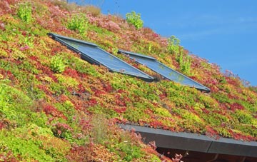 Preston Fields living roof systems