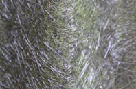 Preston Fields fibreglass roof work